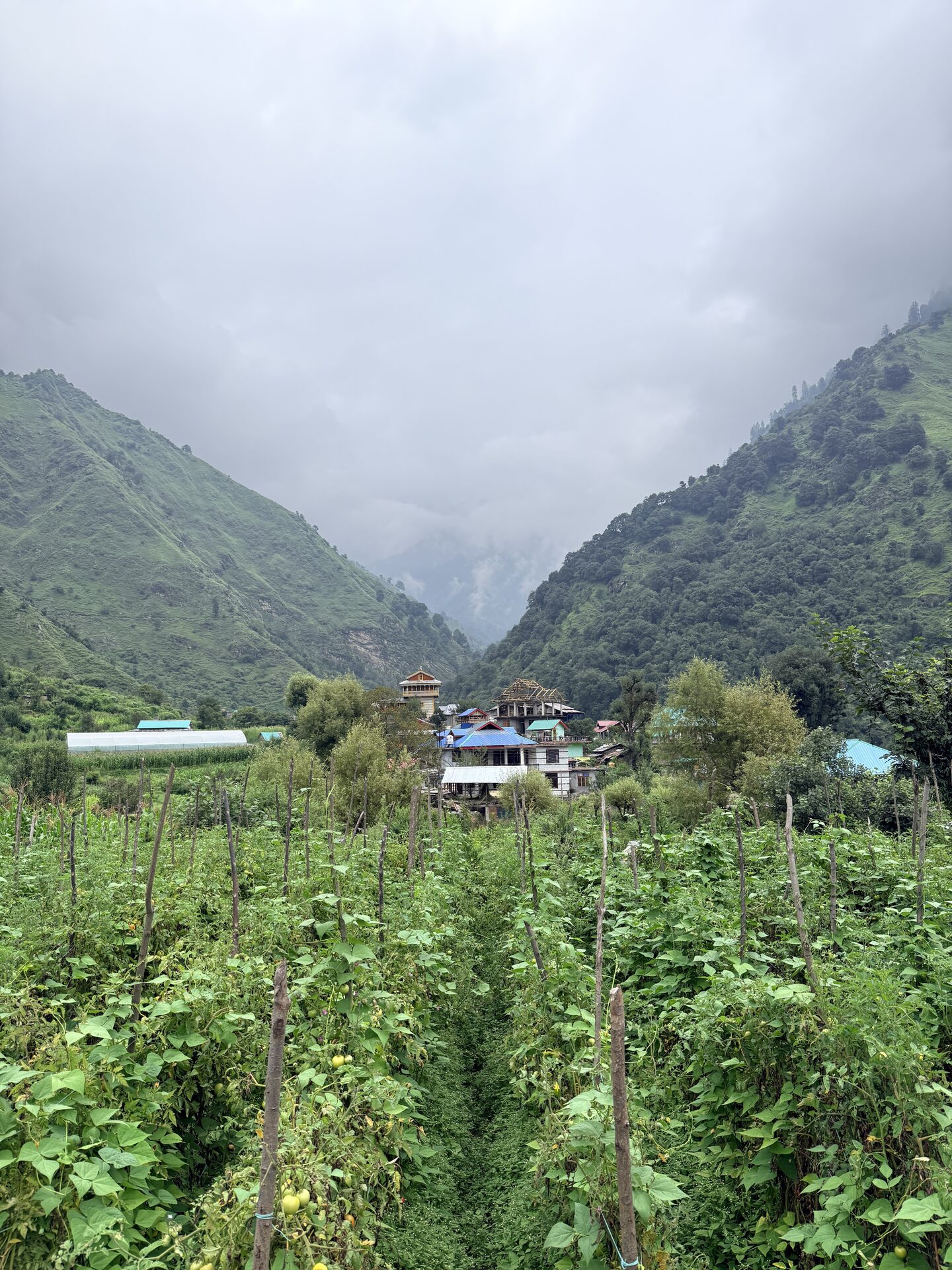 Sainj Valley meadow and mountain view